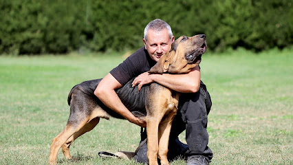 Instint K9-Centre Cani | Adiestradores de perros en Canet de Mar