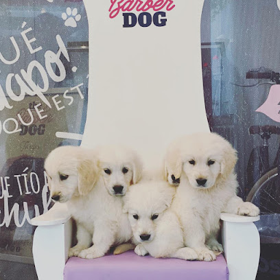 The Barber Dog | Peluqueria para perros en Córdoba
