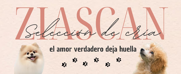 Ziascan | Bigues i Riells