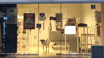 Happy Puppy | Peluqueria para perros en Montmeló