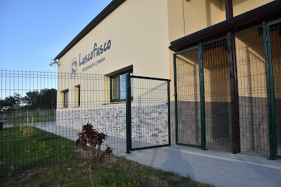 Luscofusco Residencia Canina | Guardería para perros en Bacurin