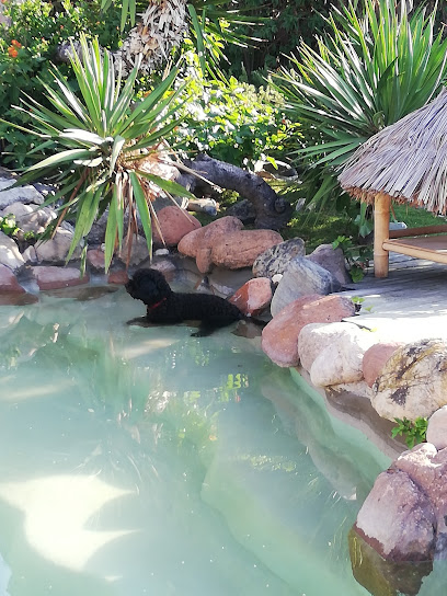 Can Kin Gos | Guardería para perros en Cabrera de Mar