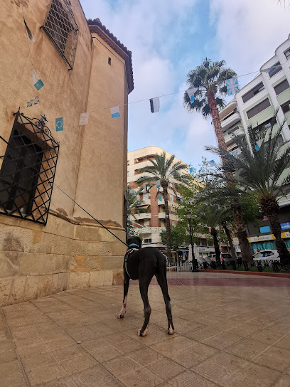 PerrosElx | Guardería para perros en Elche