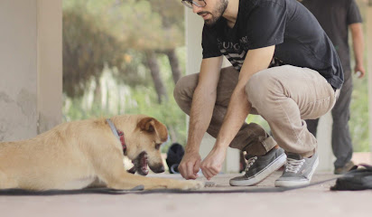 DOGGED | Adiestradores de perros en Barcelona