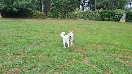 TRISQUEL | Guardería para perros en Castrillón