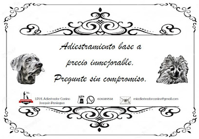 J.P.H. | Adiestradores de perros en Ceuti