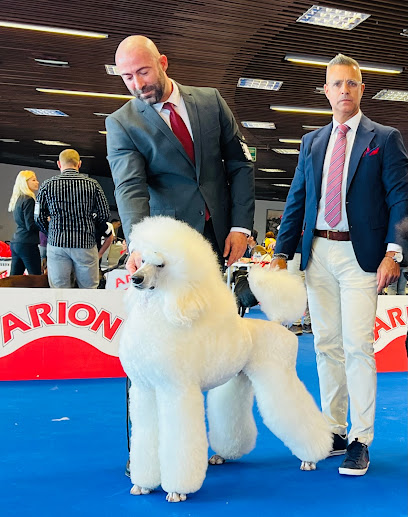 Petit Boutique | Peluqueria para perros en Córdoba
