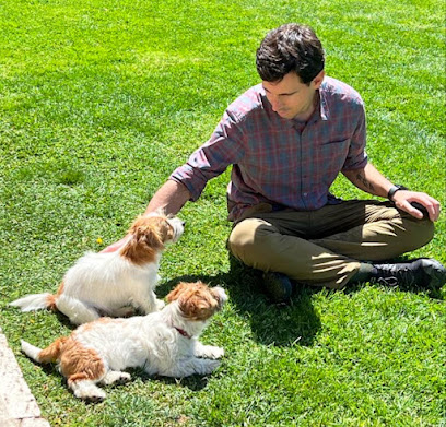 Gonzalo Rodriguez | Adiestradores de perros en Madrid