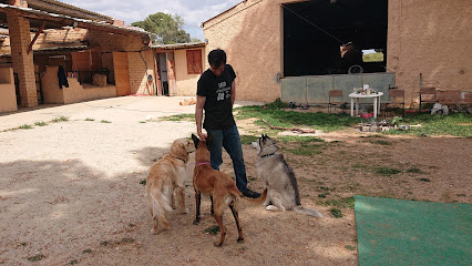 Amorgos | Adiestradores de perros en Terrassa