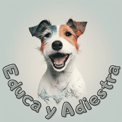 Educa y Adiestra | Adiestradores de perros en Sabadell
