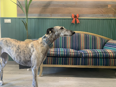 Isladekann | Peluqueria para perros en Benalmádena