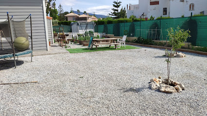 JUNTOdt | Guardería para perros en Bel-Air