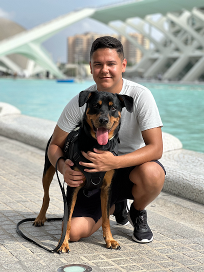 Formadogs | Adiestradores de perros en Ciudad Lineal