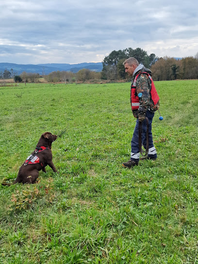 K9 | Adiestradores de perros en Macastre