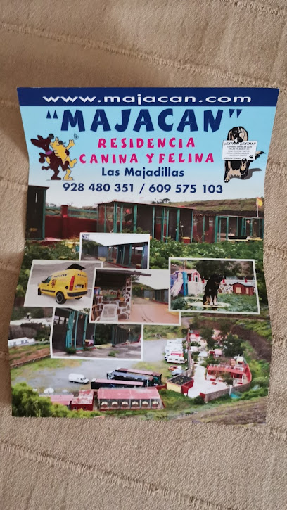 Majacan | Guardería para perros en Las Palmas de Gran Canaria