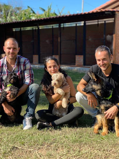 Hotel de perros Villa Canina | Guardería para perros en Santa Cruz de la Sierra