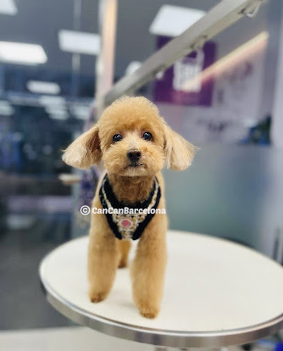 Cancan | Peluqueria para perros en Barcelona