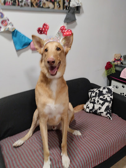 La Fauna de Crismi | Peluqueria para perros en Viladecans