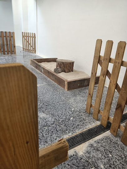 SIS POTES | Guardería para perros en Barcelona