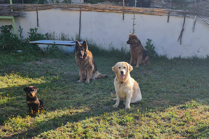 Pia A. Dog Behaviour | Adiestradores de perros en La Charca
