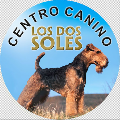 Los Dos Soles | Guardería para perros en Almansa