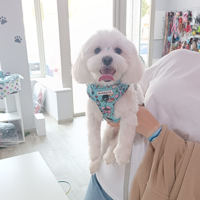 Pet-Ros | Peluqueria para perros en Torre-Pacheco