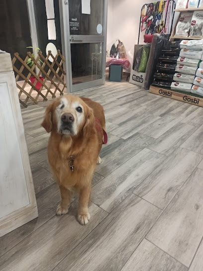 Mapogo | Peluqueria para perros en Moià