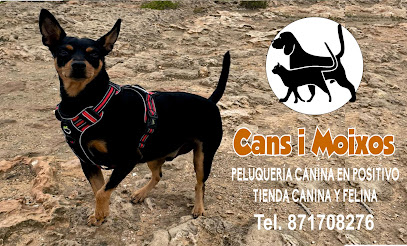 Cans i Moixos | Peluqueria para perros en Palma