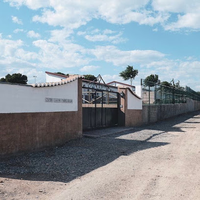Colita | Residencia canina | Guardería para perros en Naquera