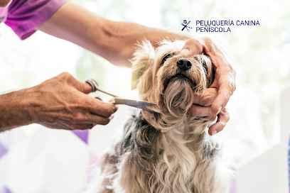 Peñiscola | Peluqueria para perros en Peñíscola