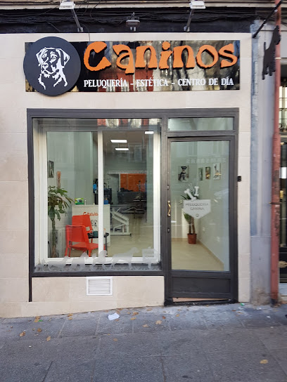 Caninos | Peluqueria para perros en Madrid