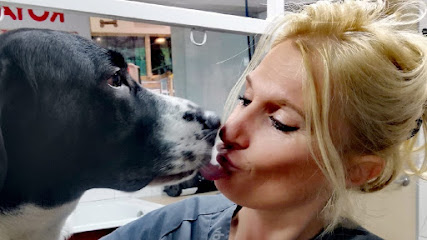 La Huella | Peluqueria para perros en Gandía