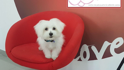 I Love Perros | Peluqueria para perros en Alcañiz