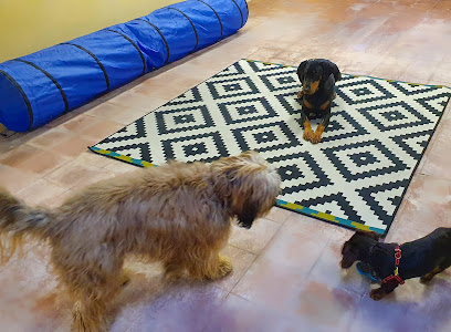 Feligos Guarderia Canina | Guardería para perros en Barcelona