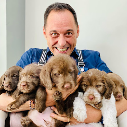 Escuelaprocan | Peluqueria para perros en Pozuelo de Alarcón
