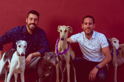 Walking Dogs | Adiestradores de perros en Valencia