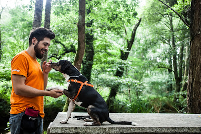 BUDADOG | Adiestradores de perros en La Coruña