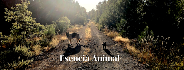 ESPECIA ANIMAL | Adiestradores de perros en Getafe