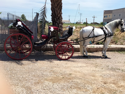 Mali-Dog | Adiestradores de perros en Murcia