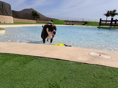 Mascots hotel & club | Guardería para perros en Las Zocas