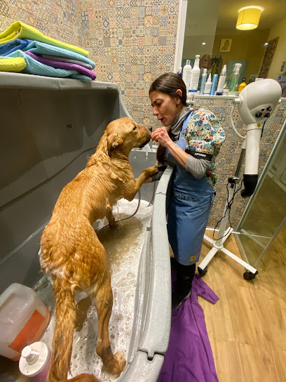 Can Bau | Peluqueria para perros en Barcelona