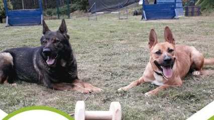 Eloa K9 | Adiestradores de perros en La Coruña
