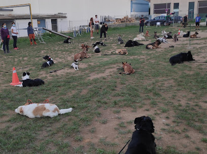 Centre Cani Dracan | Adiestradores de perros en Celra