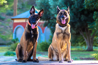 MARIA JOSE PEREZ | Adiestradores de perros en Telde