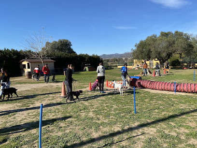 Naturalgos Sud | Adiestradores de perros en Banyeres del Penedes