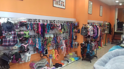 Perrukys | Peluqueria para perros en Palma