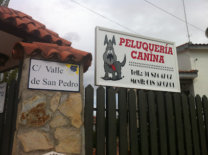 Jose Martínez | Villarejo de Salvanés