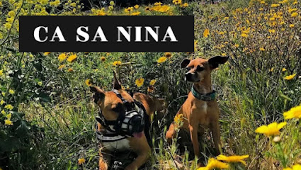 Ca Sa Nina | Guardería para perros en Palma
