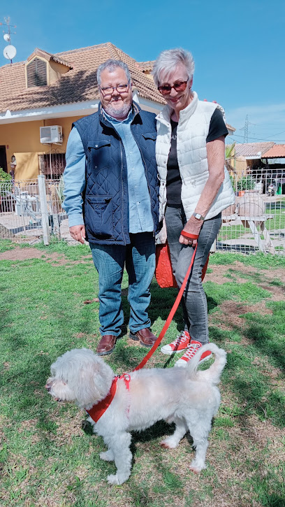 Mascotas | Guardería para perros en Alcalá de Guadaíra