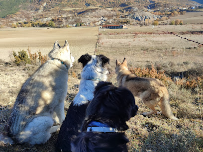 LunaMon | Guardería para perros en Borres